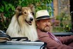 Lassie: Nové dobrodružství