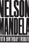 Nelson Mandela 70th Birthday Tribute 