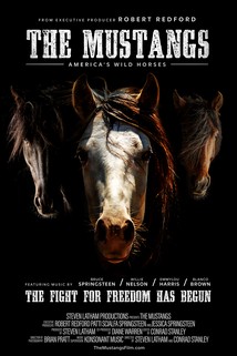 Profilový obrázek - The Mustangs: America's Wild Horses