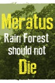 Profilový obrázek - Meratus Rain Forest Should Not Die