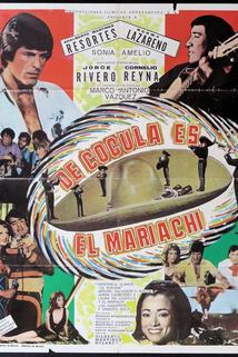 Profilový obrázek - De Cocula es el mariachi