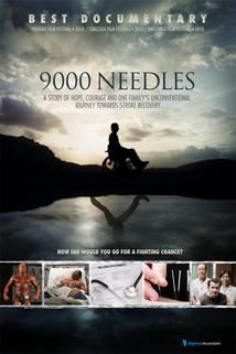 9000 Needles