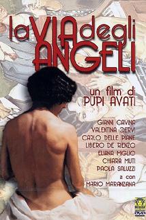 Profilový obrázek - La via degli angeli