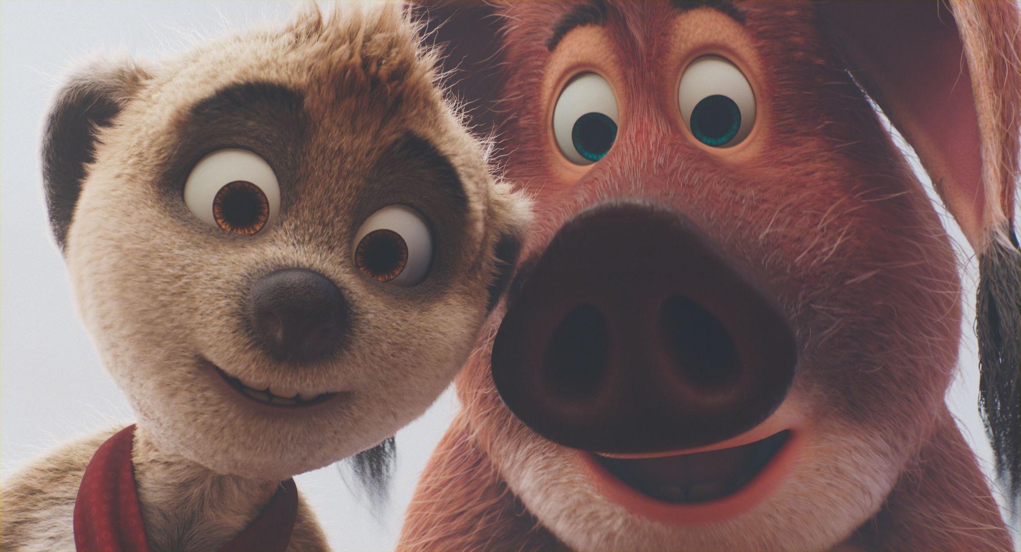 Tafiti a kámoši z pouště