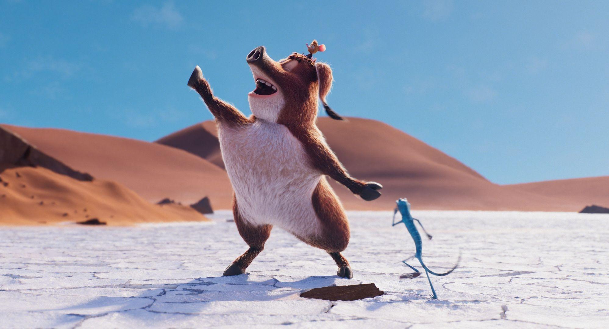 Tafiti a kámoši z pouště