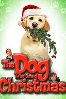 Profilový obrázek - The Dog Who Saved Christmas