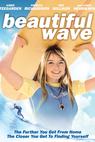 Beautiful Wave (2010)