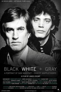 Profilový obrázek - Black White + Gray: A Portrait of Sam Wagstaff and Robert Mapplethorpe