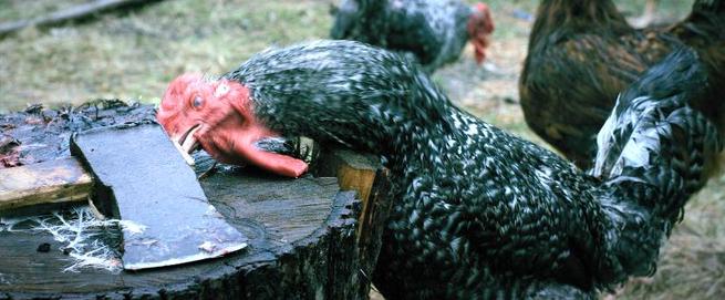 Hlava - ruce - srdce