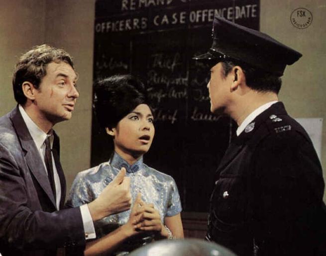 Tajemství čínského karafiátu