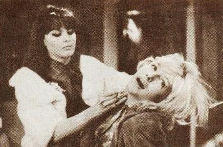 Tajemství čínského karafiátu