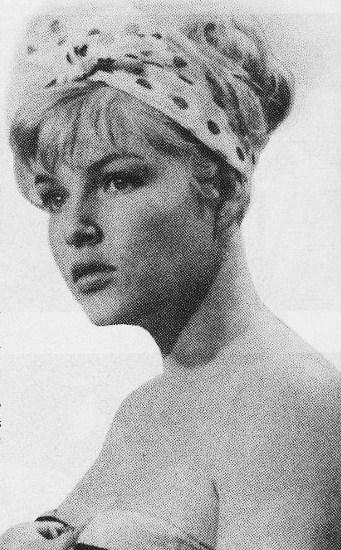 Tajemství čínského karafiátu