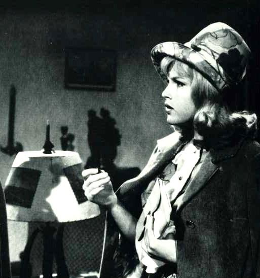 Tajemství čínského karafiátu