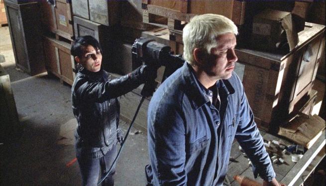 Dívka, která kopla do vosího hnízda