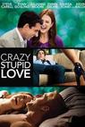 Bláznivá, zatracená láska (2011)