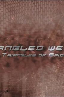 Profilový obrázek - Tangled Web: The Love Triangles of Spider-Man 3