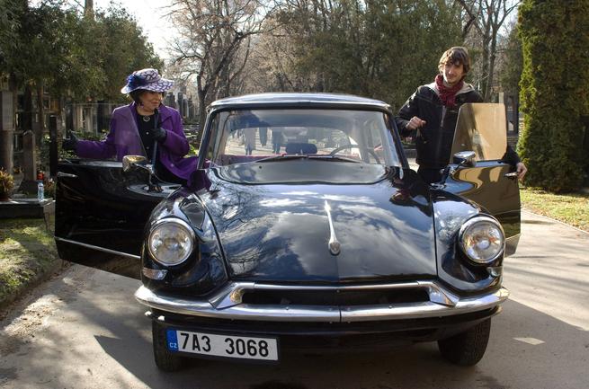 Zabijáci doktorky Kalendové