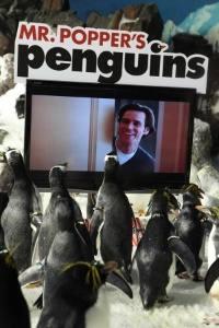 Pan Popper a jeho tučňáci  - Mr. Popper's Penguins
