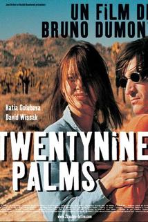 Twentynine Palms  - Twentynine Palms