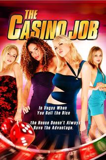Profilový obrázek - The Casino Job