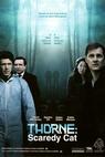 Detektiv Thorne: Nesmělý muž (2010)