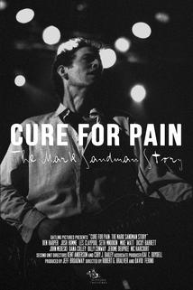 Profilový obrázek - Cure for Pain: The Mark Sandman Story