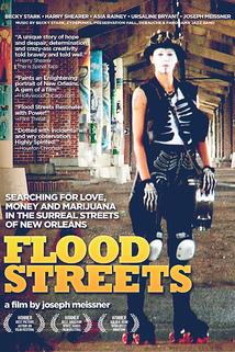 Profilový obrázek - Flood Streets
