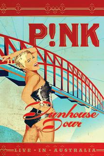 Profilový obrázek - Pink: Funhouse Tour - Live in Australia