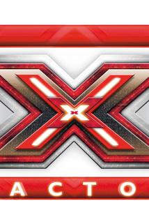 Profilový obrázek - X Factor