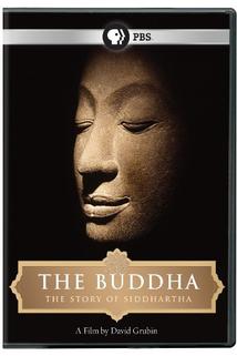 Profilový obrázek - The Buddha