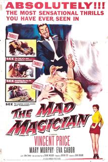 Profilový obrázek - The Mad Magician