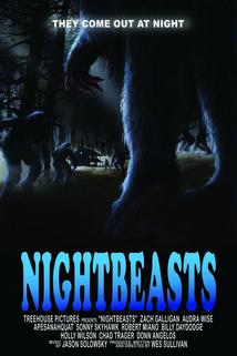 Profilový obrázek - Nightbeasts