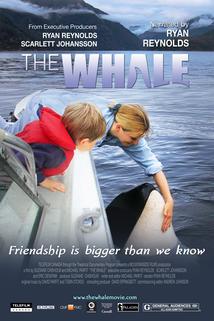 Profilový obrázek - The Whale