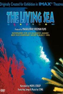 Profilový obrázek - The Living Sea