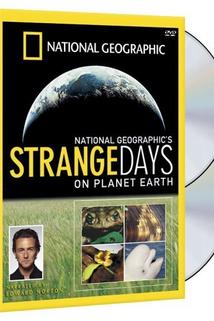 Profilový obrázek - Strange Days on Planet Earth