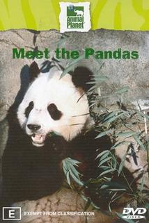 Profilový obrázek - Meet the Pandas