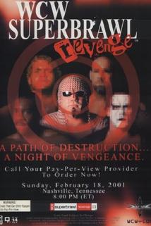 Profilový obrázek - WCW Superbrawl Revenge