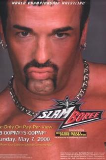 Profilový obrázek - WCW Slamboree 2000