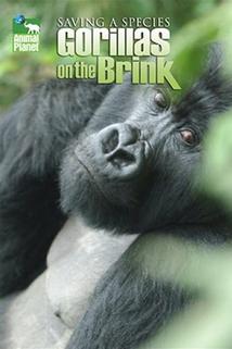 Profilový obrázek - Saving a Species: Gorillas on the Brink