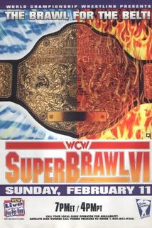 Profilový obrázek - WCW SuperBrawl VI
