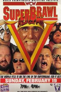Profilový obrázek - WCW SuperBrawl V
