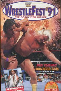 Profilový obrázek - WWF: Wrestlefest '91