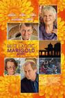 Báječný hotel Marigold (2011)