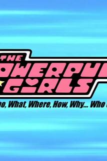 Profilový obrázek - The Powerpuff Girls: Who, What, When, Where, Why... Who Cares?