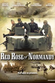 Profilový obrázek - Red Rose of Normandy