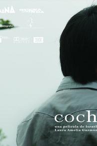 Profilový obrázek - Cochochi
