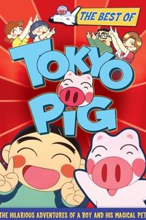 Tokyo Pig