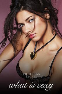 Profilový obrázek - Victoria's Secret: What Is Sexy? 2008