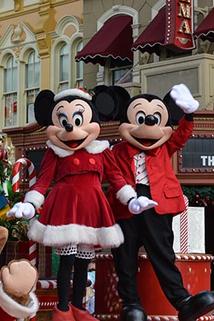 Profilový obrázek - Disney Parks Christmas Parade Special