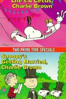 Profilový obrázek - Snoopy's Getting Married, Charlie Brown